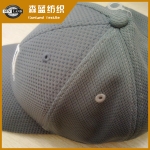 ȫӴ Polyester mesh fabric